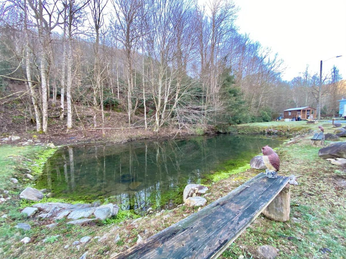 Maggie Valley Cabin Rentals エクステリア 写真